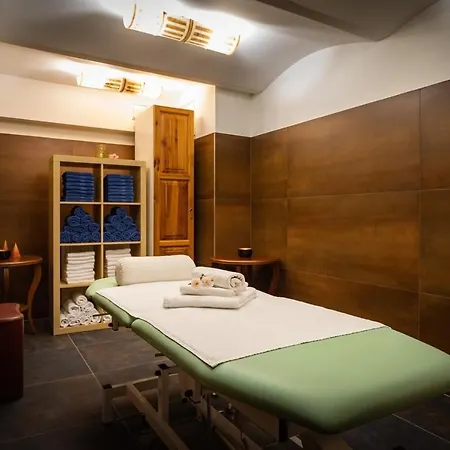 호텔 Active & Wellness Subterra 3*
