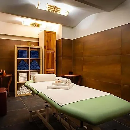 Active & Wellness Subterra Hotel Ostrov (Karlovy Vary)