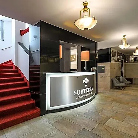 Active & Wellness Subterra Ostrov (Karlovy Vary)